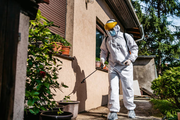 Best Pest Control Near Me in Poteet, TX